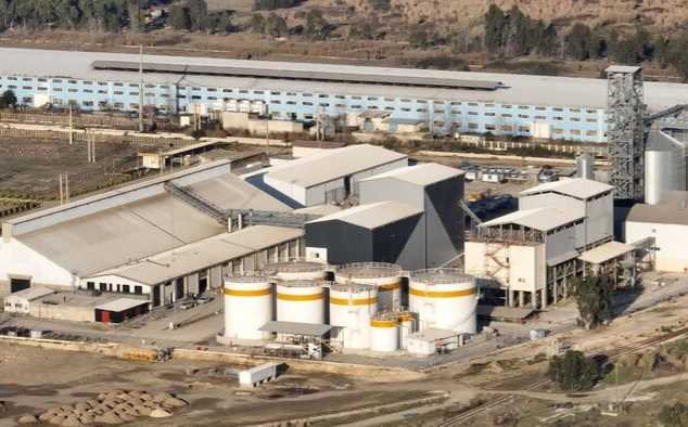 استحصال روغن در بندر امیرآباد آغاز شد